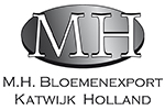 MH Bloemenexport
